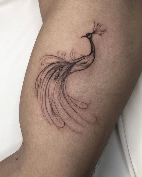 Peacock #peacocktattoo #peacock #peacocks Peacock Minimalist Tattoo, Peacock Back Tattoo, Sri Lankan Tattoo, Small Peacock Tattoo, Chloe Tattoo, Peacock Tattoo Designs, Tattoo Peacock, Peacock Tattoos, Tattoo Birds