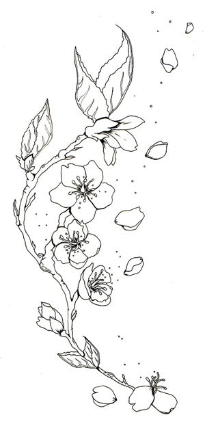 Cherry Blossom Tattoo Drawings Cherry Blossom Outline, Cherry Blossom Tattoo Design, Cherry Blossom Drawing, Sakura Tattoo, Cherry Blossom Art, Flower Tattoo Sleeve, Cherry Blossom Tattoo, Blossom Tattoo, Flowers Tattoo