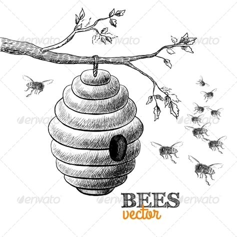 Honey bees and hive on tree branch isolated vector illustration. Editable EPS and Render in JPG format Beehive Drawing, Bee Drawing, Branch Vector, Bee Illustration, Honey Bee Hives, Posca Art, Vintage Bee, Bee Tattoo, Desenho Tattoo