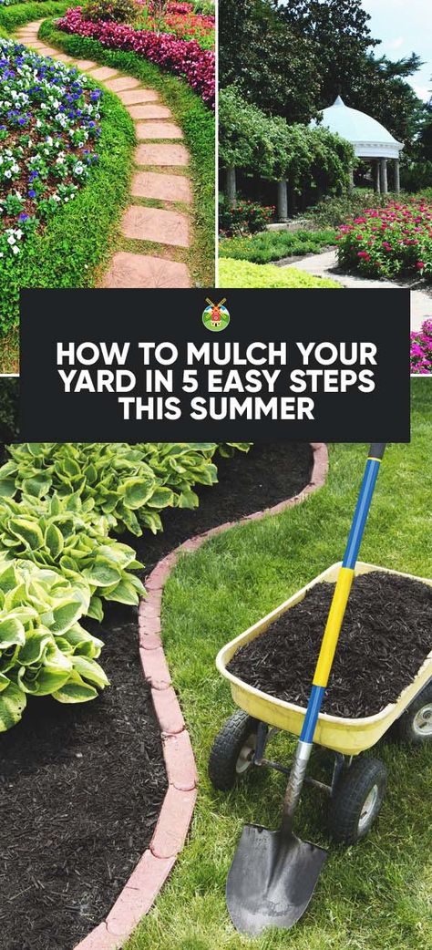 How to Mulch Your Yard in 5 Easy Steps this Summer Cubicle Aesthetic, Spring Chalkboard, Tablescapes Ideas, Tulip Centerpiece, Porch Landscaping, Top Flowers, Mulch Landscaping, Pergola Pictures, Trellis Ideas