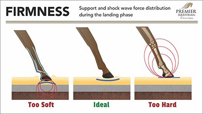 “I was shocked when I learned about hoof mechanism and how blood is circulated throughout the horse’s body,” she said. “I didn’t know the foot plays a critical role in the cardiovascular system. Working on this project has changed the way I look at what surface my horse is on, how he reacts, and what he’s communicating to me.” Horse Biomechanics, Arena Footing, Horse Riding Arena, Spa Hammam, Dressage Arena, Horse Paddock, Horse Farm Ideas, Riding Arena, Horse Barn Ideas Stables