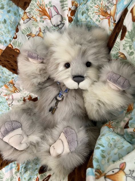 Kermode Bear, Realistic Stuffed Animals, Sewing Templates, Cute Squishies, Doll Plushies, Charlie Bears, Teddy Bear Collection, Cute Teddy Bears, Cute Stuffed Animals