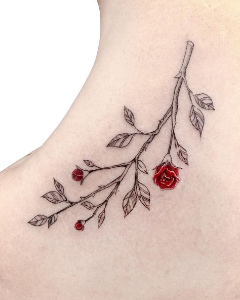 ✨p o b i • 포 비✨ (@pobitattooo) added a photo to their Instagram account: “🌹rose branch for sophia🌹 . . . . . . . . . . . . . . . . . . . . . . . . .…” Rose Branch, Branch Tattoo, Lotus Flower Tattoo, Instagram Account, Flower Tattoo, A Photo, Tattoos, Instagram