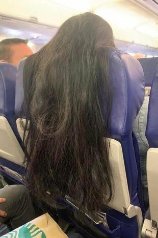 A PLANE passenger has sparked outrage online after a photo emerged of her long hair draped over the back of her seat. The picture, showing the hair draped down onto another passenger’s tray table, was posted on Twitter. Twitter user Anthony captioned the picture on October 20 with the caption “Would this p**s you off”. […] In Airplane, Fashion Fail, Rapunzel, Human Rights, Her Hair, Long Hair, Persona, Passenger, Funny Jokes