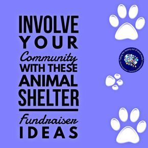 nonprofit fundraising ideas Animal Fundraiser Ideas, Animal Shelter Service Project, Animal Shelter Events, Pet Rescue Fundraising Ideas, Service Dog Fundraiser Ideas, Fundraising Ideas For Animal Shelters, Animal Shelter Fundraiser Ideas Events, Pet Fundraiser Ideas, Animal Fundraising Ideas