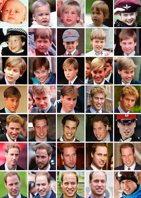 Prince William 1982-2016 Principe William Y Kate, Diana Son, Princ Harry, Düşes Kate, Prince William Family, Diana Williams, Prins William, Royal Family Pictures, Rainha Elizabeth Ii