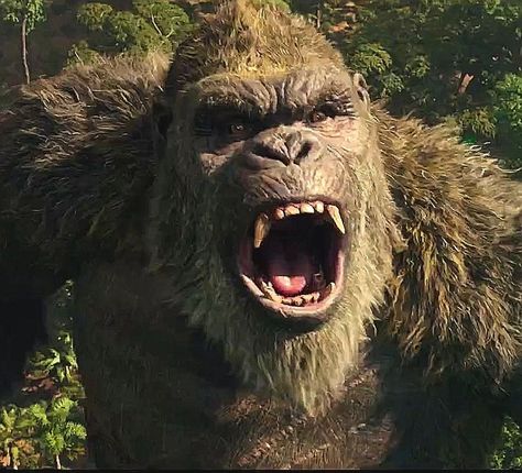 King Kong Skull Island, Scene Icon, Kong Art, King Kong Art, King Kong Vs Godzilla, At At Walker, Kong Godzilla, Godzilla And Kong, Kong Skull Island