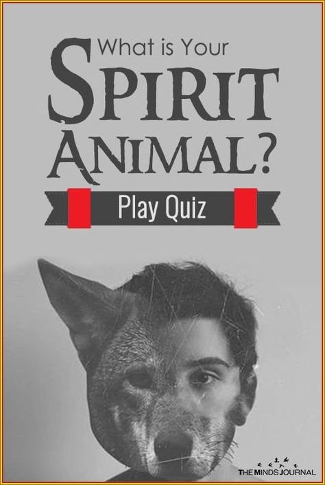 List Of 20 Celebrities Who Get Real About Their Spirituality. #celebrities* #spirituality Spirit Animal Test, What's My Spirit Animal, Spirit Animal Quiz, Whats Your Spirit Animal, Find Your Spirit Animal, Animal Quiz, Play Quiz, Spiritual Animal, Animal Spirit Guides