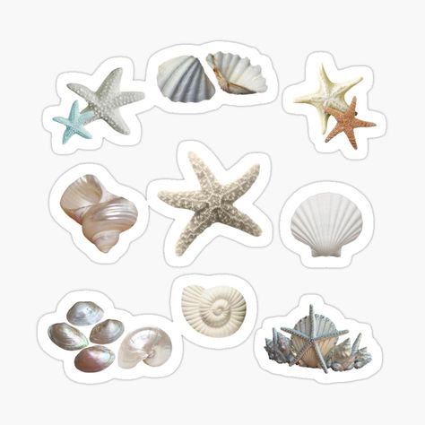 Sticker Prints Aesthetic, Sea Aesthetic Sticker, Sea Shell Sticker, Sticker For Water Bottle, Things To Put Stickers On Ideas, Cute Beach Stickers, Sticker Art Aesthetic, Birthday Stickers Scrapbook, Things To Put Stickers On