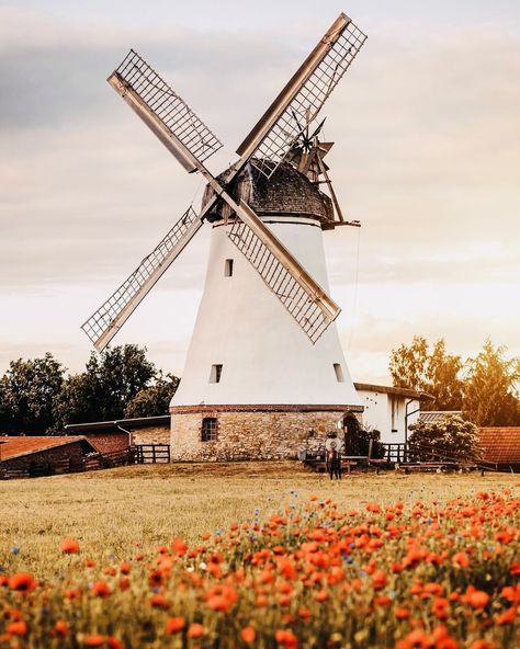 Netherlands Windmills, Windmills Photography, Windmill House, Windmill Art, Holland Windmills, Dutch Windmill, Old Windmills, Norfolk Broads, Dutch Windmills