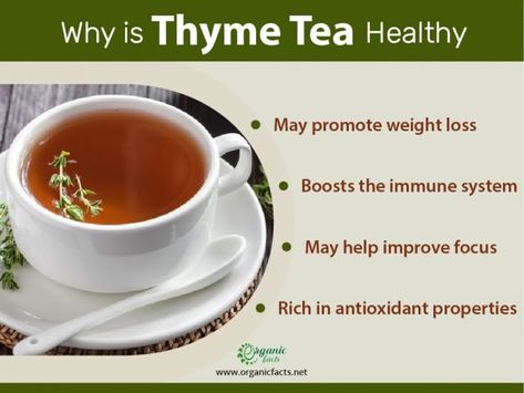 Health benefits of thyme tea infographic Thyme Tea Benefits, Benefits Of Thyme, Health Benefits Of Thyme, Thyme Uses, Tea Infographic, Thyme Tea, Thyme Herb, Tea At Home, Lemon Honey