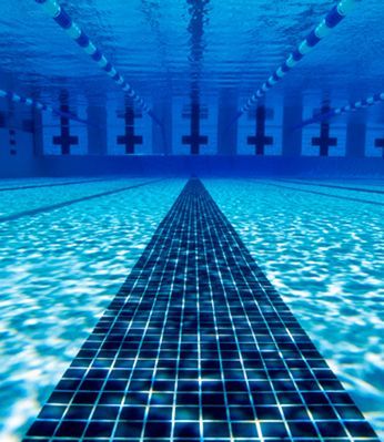 Go to the pool immediately! #swimming #swimmingpool #competitiveswimming #swimmer Swimming Photography, Swimming Motivation, Swimming Pictures, Pool Images, Swimmers Life, Olympic Swimming, Swim Life, Pool Picture, Swimming Pool Water