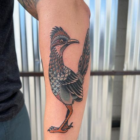 American Traditional Roadrunner Tattoo, Traditional Roadrunner Tattoo, Road Runner Tattoo, Desert Tattoos, Roadrunner Tattoo, Birds Drawings, Coyote Tattoo, Runner Tattoo, Tattoo Birds