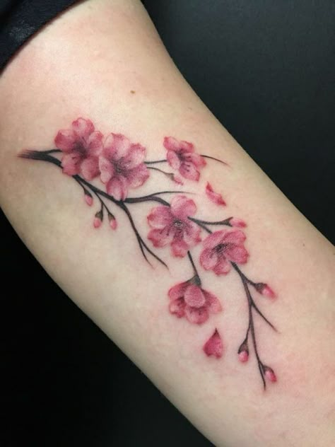 250+ Japanese Cherry Blossom Tattoo Designs With Meanings & Symbolism (2021) Tattoo Sakura, Blossom Tree Tattoo, Sakura Tattoo, Mastectomy Tattoo, Tree Tattoo Designs, Red Tattoos, Blossom Tattoo, Cherry Blossom Tattoo, Tattoo Designs And Meanings