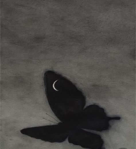 A Butterfly, A Black, The Moon, The Story, Moon, Black And White, Instagram Photos, White, Instagram