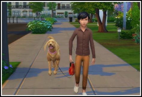 LittleMsSam's Sims 4 Mods Sims 4 Pets Mod, Dogs For Kids, Cc Eyes, Walk Dog, Ts4 Mods, Cc Folder, Sims 4 Children, Sims 4 Mm Cc, Sims 4 Game Mods