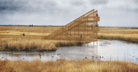 Gallery of Bee Breeders Announces Winners of Pape Bird Observation Tower Competition - 39 Landscape Architecture Section, Bird Watching Tower, Water Architecture, Observation Tower, Open Architecture, Nature Architecture, Architecture Landmark, Architectural Section, Sopot