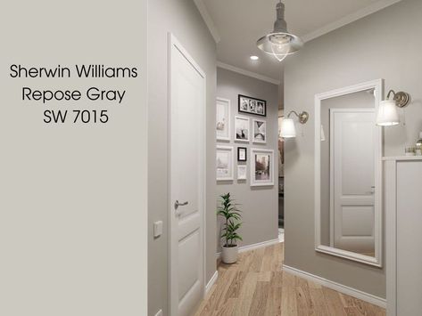 Sherman Williams Repose Grey, Repose Gray Sherwin Williams Kitchen, Repost Grey Paint Sherwin Williams, Repose Gray Interior Walls, Repurpose Gray Sherwin Williams, Repose Gray Sherwin Williams Bedroom, Mindful Gray Vs Repose Gray, Repose Gray Lightened 50%, Repose Gray 50% Lighter