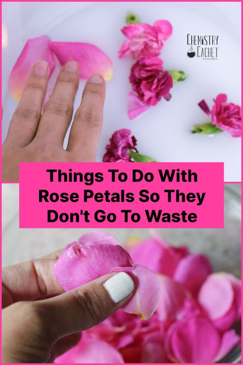 Things To Do With Roses, What To Do With Dead Roses, What To Do With Dry Roses Ideas, What To Do With Rose Petals, Dry Rose Petals Crafts, Rose Petals Craft, Rose Petal Uses, Toxic Household, Rose Water Diy