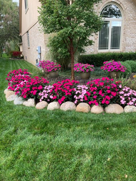 Impatients Flowers Beds, Sunpatiens Landscapes, Impatiens Landscaping, Sunpatiens Container, Sunpatiens Flowers, Impatients Flowers, Front Yard Flower Garden, Piscinas Pequeñas, Curb Appeal Garden