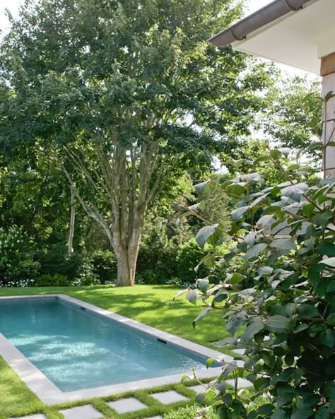 Pools For Small Yards, Townhouse Garden, Patio Grande, Small Swimming Pools, Pool Landscape Design, Small Pool Design, Big Backyard, Backyard Pools, Small Pools