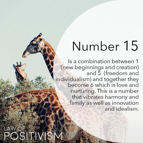 From affinitynumerology: "The family and harmony number 15 has other meanings. All meanings of the number 15 are subordinate to the family and harmonious home vibration. The number 15 creates its own rules to accomplish harmony. It's likely to try anything that seems reasonable at least once in order to achieve harmony at home or to further its ideals. A family or someone to care for or nurture generally is necessary for 15 to feel life is complete. If all is according to 15's ideal, then al... 15 Angel Number Meaning, 15 15 Angel Number Meaning, 15 15 Angel Number, 15 Angel Number, Numerology 111, 1111 Twin Flames, Manifestation Prayer, Spiritual Items, Numbers Game