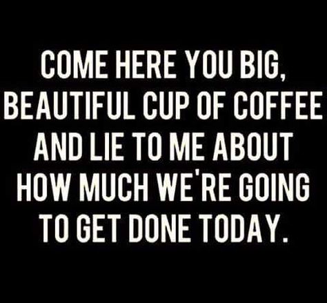 Come here you big, beautiful cup of coffee and lie to me about how much we're going to get done today Coffee Meme, Need Coffee, Coffee Is Life, Lie To Me, Chocolate Coffee, Coffee Love, Coffee Quotes, Sarcastic Quotes, Coffee Humor