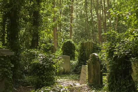 Overgrown Cemetery Aesthetic, Headstone Photography, Overgrown Graveyard, Overgrown Cemetery, Drawtober 2023, Uncut Hair, Highgate Cemetery London, Beautiful Cemetery, Old Cemetery