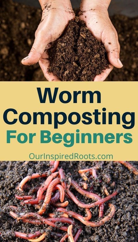 Red Worm Composting, Worm Farm Diy, Composting For Beginners, Worm Beds, Worm Composting Bin, How To Start Composting, Red Wiggler Worms, Composting Bin, Composting Methods