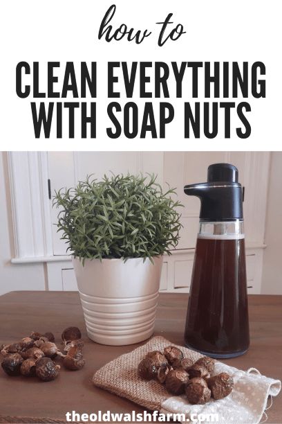 Soap nuts are an incredibly inexpensive, eco-friendly and non-toxic cleaner. Here's how you can use soap nuts to get your entire home sparkling clean. Soap Nuts Recipes, Soap Nuts Shampoo, Healthy Cleaning Products, Soap Berries, Homesteading Tips, Homemade Cleaning Supplies, Diy Cleaning Products Recipes, Soap Nuts, Clean Washing Machine