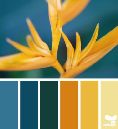 Color Palette | Paint Inspiration | Paint Colors | Paint Palette | Color | Design Inspiration Design Seed, Office Paint Colors, Color Palette Yellow, Color Palate, Design Seeds, Bathroom Colors, Bright Designs, Yellow And Blue, Color Stories