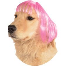 Short Bob Wig Neon Fancy Dress, Dog With Wig, Hot Pink Shorts, Small Dog Clothes, Designer Dog Clothes, Dog Halloween Costumes, Halloween Fancy Dress, Dog Costumes, Short Bob Wigs