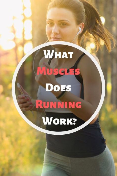 Muscles In The Body, Cardiovascular Exercises, Rectus Abdominis Muscle, Workouts To Tone, How To Gain Muscle, Running Tips For Beginners, Whole Body Workouts, Tight Hamstrings, Cardio Boxing