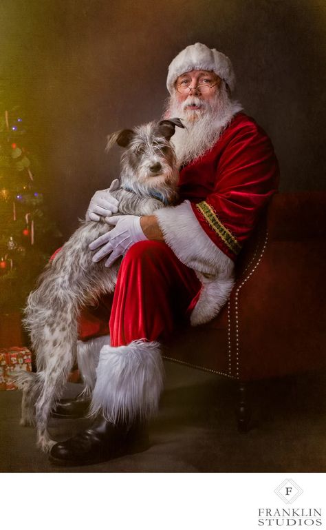 Classic Photos with Santa Scottsdale Arizona Pet Santa Photos, Pet Photography Studio, Photos With Santa, Santa Dog, Christmas Portraits, Santa Photos, Santa Pictures, Christmas Shoot, Photography Studios