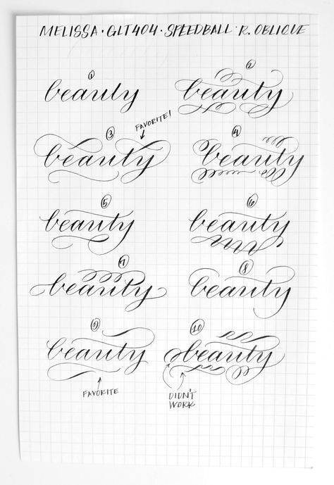 Modern 10: Flourishes | Calligraphy.org Calligraphy Beginners, Modern Calligraphy Alphabet, Flourish Calligraphy, Free Calligraphy Fonts, Calligraphy Lessons, Calligraphy Tutorial, Calligraphy Drawing, Faux Calligraphy, Copperplate Calligraphy