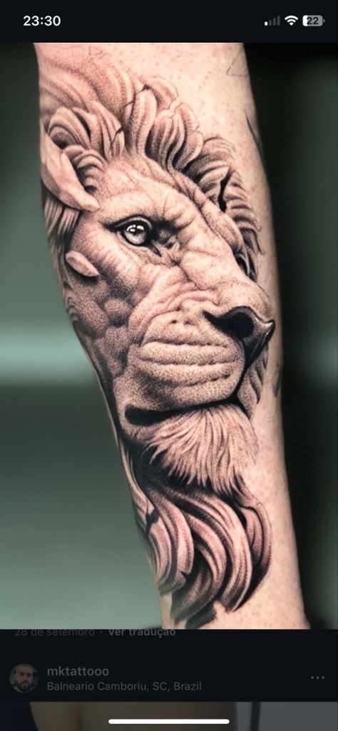 Half Lion Face Tattoo, Lion Face Tattoo, Lion Face, Face Tattoo, Meaningful Tattoos, Lion, Tattoos