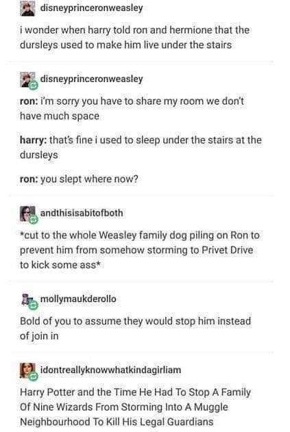 Hp Funny, Weasley Family, Maxon Schreave, Harry Potter Feels, Yer A Wizard Harry, Harry Potter Puns, Harry Potter Tumblr, Harry Potter Headcannons, Harry Pottah