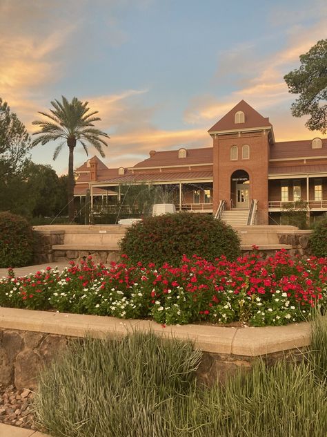 University Of Arizona Aesthetic, Tucson Arizona Aesthetic, Asu Aesthetic, U Of Arizona, University Of Arizona Tucson, University Of Arizona Campus, Future Collage, College Wishlist, Arizona Aesthetic