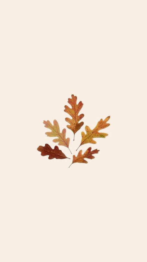 Layout, Wallpapers, Fall Ios, Ios Icon, Fall Leaves, Autumn Leaves, Ios Thanksgiving Icons Aesthetic, November Pfp, November Icons, November Widget, Wallpapers Fall, Fall App Icons, Fall Ios, Thanksgiving Icon, Creative Photography Logo