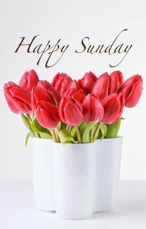 Good Morning Spring, Happy Sunday Images, Good Morning Sunday, Weekend Greetings, Happy Sunday Morning, Good Sunday Morning, Sunday Wishes, Lovely Good Morning Images, Sunday Images