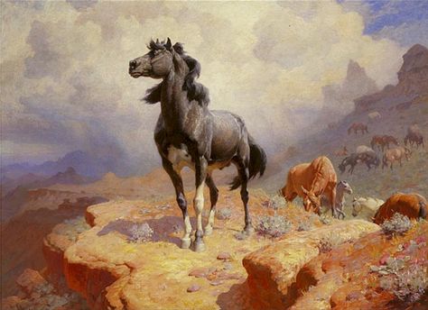 “Leader of the Wild Bunch” Painting of a black mustang stallion guarding his mares. Bill Anton, Wild Horse Painting, Western Sketches, Mustang Stallion, William Robinson, Horse Tattoo Design, Black Mustang, Wild Bunch, The Wild Bunch