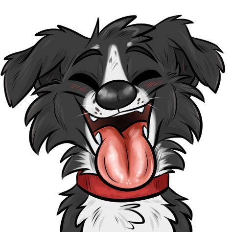 Not my artwork Border Collie Dibujo, Dog Sketch Cartoon, Cartoon Border Collie, Cartoon Dog Drawing, Border Collie Art, Cute Dog Drawing, Colorful Hairstyles, Drawing Cartoon Faces, Dog Sketch