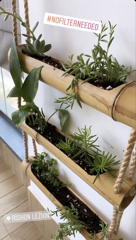 Bamboo Wall Planter, Bamboo Hanging Planter, Easy Bamboo Crafts Diy, Bamboo Diy, Bamboo Building, Backyard Garden Diy, Bamboo House Design, Bamboo Planter, Terrace Garden Design