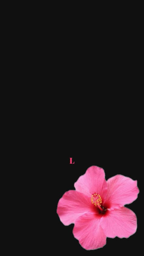 L Wallpaper Letter, Wallpaper Letter, L Wallpaper, Butterfly Wallpaper Backgrounds, Kpop Drawings, Iphone Wallpaper Photos, Pretty Wallpaper Iphone, Butterfly Wallpaper, Flower Wallpaper