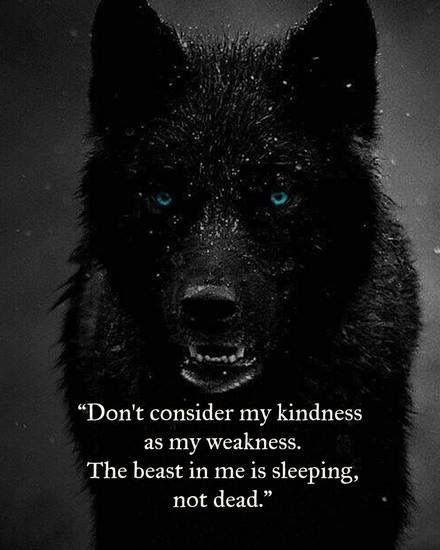 "Don't consider my kindness as my weakness. The beast in me is sleeping not dead.   - Moosa Rahat      Source… by xeccedentesiast Lup Singuratic, Lone Wolf Quotes, Greatest Quotes, My Weakness, Virgo Quotes, Wolf Quotes, Warrior Quotes, Lone Wolf, Black Wolf