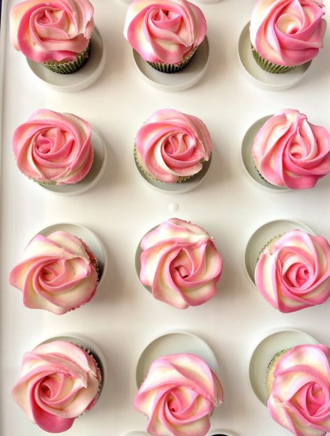 Two-tone rose swirl...try this with Wilton 1B or Ateco 855 Eggless Vanilla Cupcakes, Cupcake Frosting Tips, Frost Cupcakes, Rose Cakes, Piping Buttercream, Piping Tutorial, Cupcakes Design, Cupcake Piping, Swirl Cupcakes