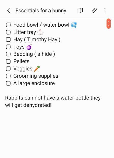 Bunny Schedule, New Bunny Checklist, Bunny Essentials List, Things For Bunnies, Holland Lop Bunnies Care, How To Take Care Of A Bunny, Bunny Checklist, Rabbit Checklist, Rabbit Essentials