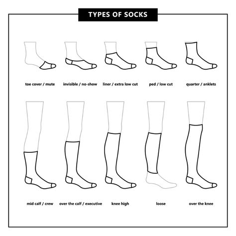 Types Of Socks, Socks Drawing, Vector Clothes, Geometric Logo Design, Sock Organization, Low Cut Shoes, Socks Packaging, Tall Socks, Flashcards For Kids