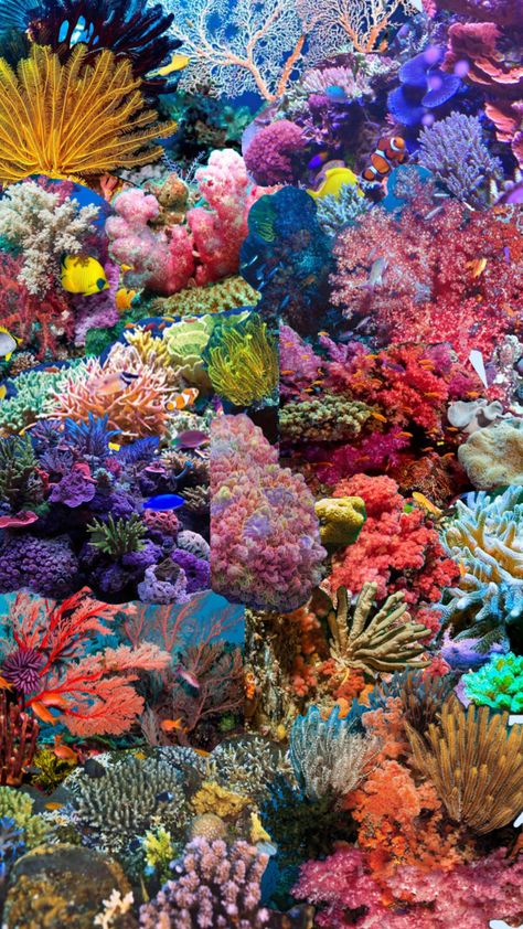 The coral reef #coralreef #ocean #sea #vibes Coral Reef Pictures, Coral Reef Craft, Coral Reef Photography, Coral Reef Color, Sea Vibes, Intro To Art, Underwater Plants, Underwater Painting, Sea Plants