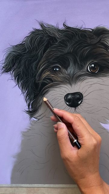 Original Pastel, Dog Drawing, Soft Pastel, Pastel, Drawings